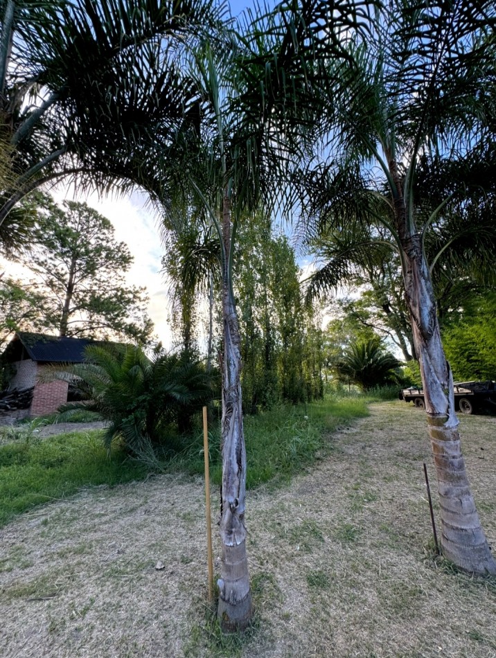 CASA QUINTA + PROYECTO COMPLEJO DE HOSPEDAJE SOBRE GRAN TERRENO