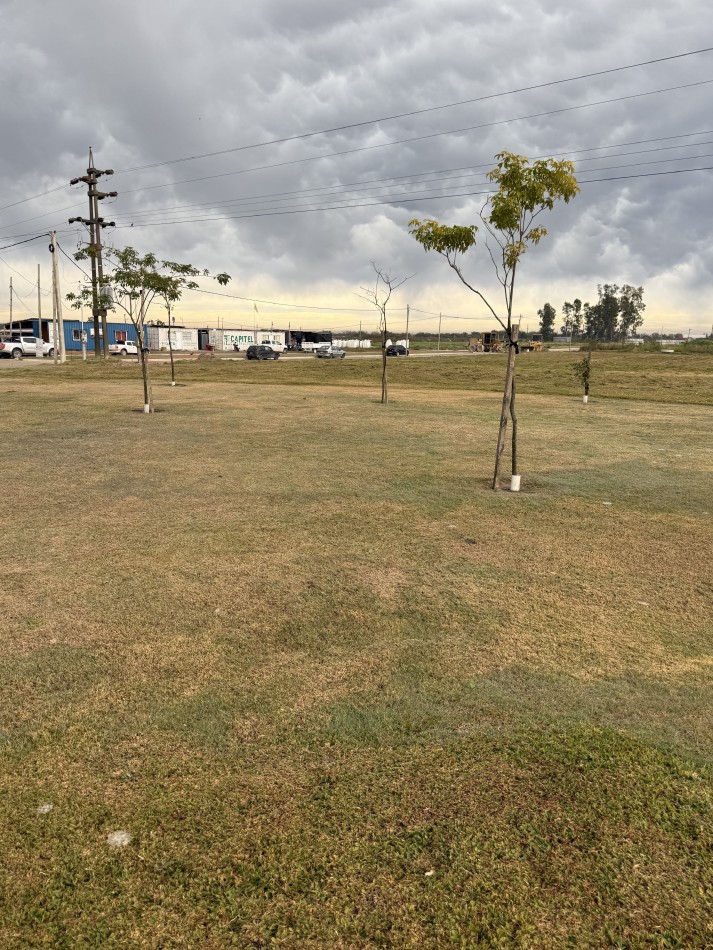 TERRENO EN BARRIO ABIERTO LOS DOMINGOS - SAUCE VIEJO