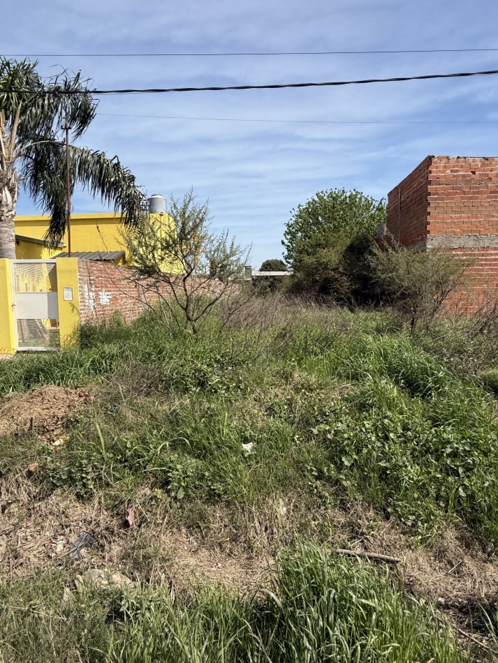 TERRENO AMPLIAS DIMENSIONES ADELINA CENTRO