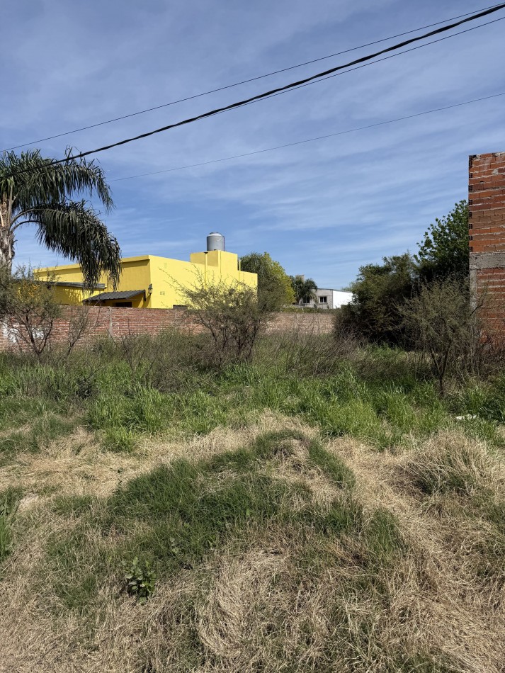 TERRENO AMPLIAS DIMENSIONES ADELINA CENTRO
