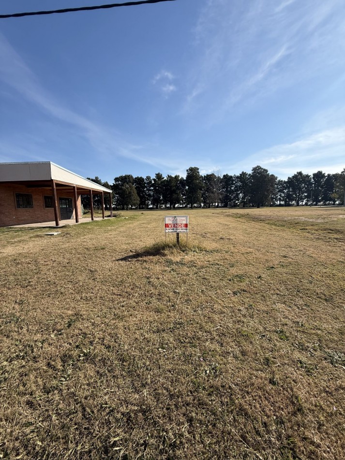 TERRENO BALDIO SAN CARLOS CENTRO
