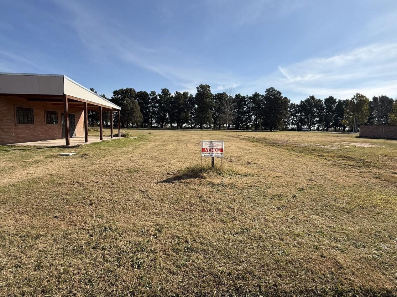 TERRENO BALDIO SAN CARLOS CENTRO