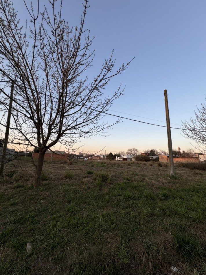 7 TERRENOS A PASOS DE CALLE SARMIENTO SANTO TOME