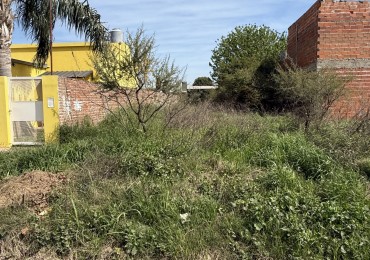 TERRENO AMPLIAS DIMENSIONES ADELINA CENTRO