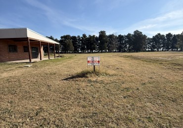 TERRENO BALDIO SAN CARLOS CENTRO